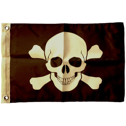 Jolly Roger custom LED whip flag photo